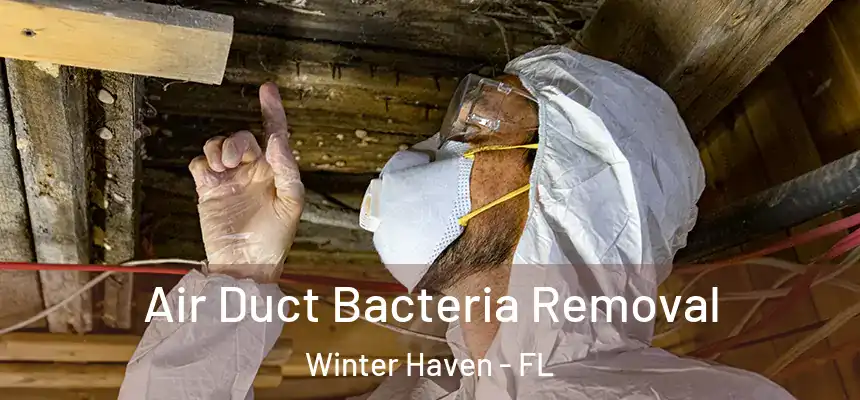Air Duct Bacteria Removal Winter Haven - FL