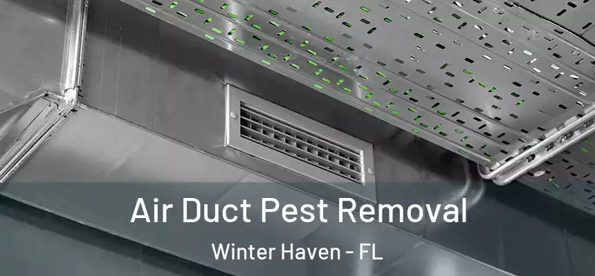 Air Duct Pest Removal Winter Haven - FL