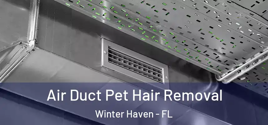 Air Duct Pet Hair Removal Winter Haven - FL