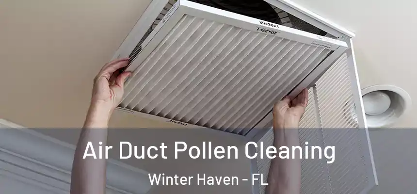Air Duct Pollen Cleaning Winter Haven - FL