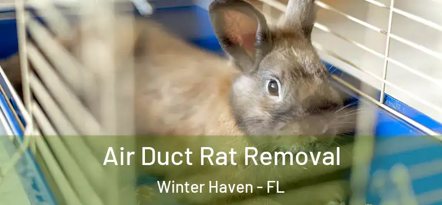  Air Duct Rat Removal Winter Haven - FL