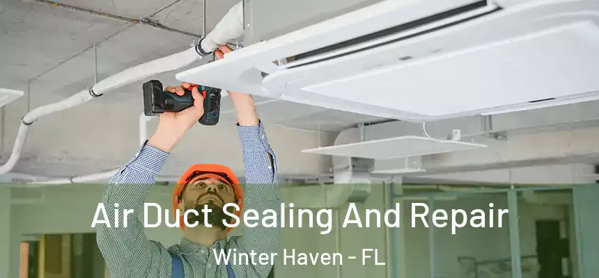 Air Duct Sealing And Repair Winter Haven - FL