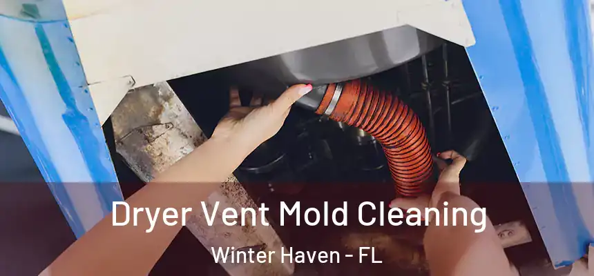 Dryer Vent Mold Cleaning Winter Haven - FL
