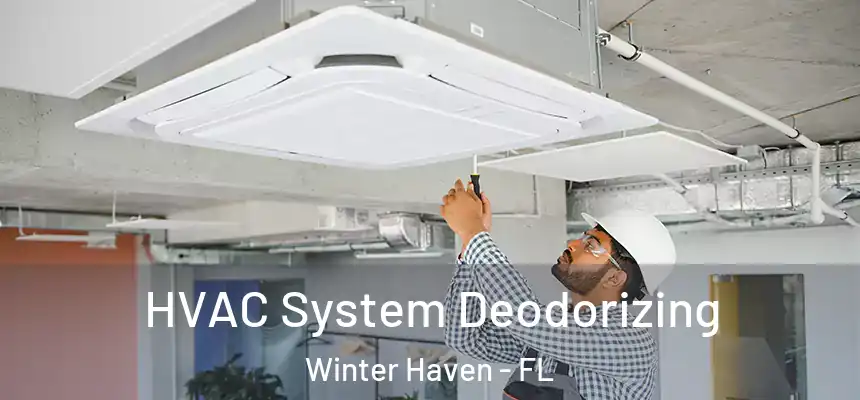  HVAC System Deodorizing Winter Haven - FL
