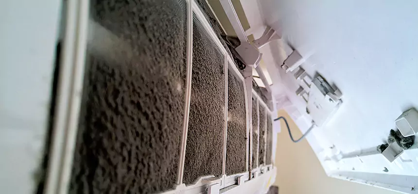 Preventive Air Duct Bacteria Removal in Winter Haven