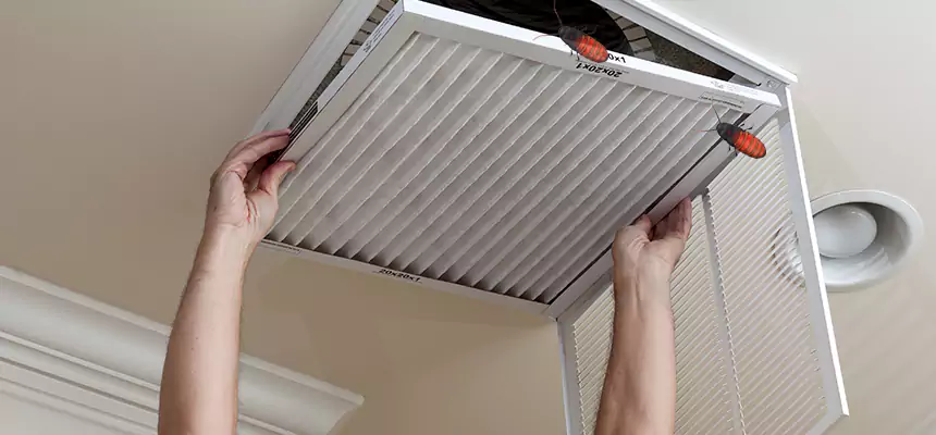 Our Insect Removal from Air Ducts Services in Winter Haven, FL