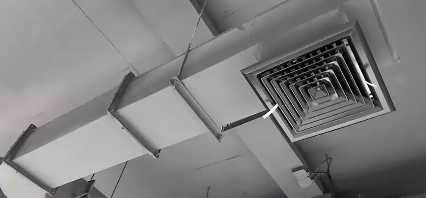 Our Pest Removal From Ducts Services in Winter Haven, FL