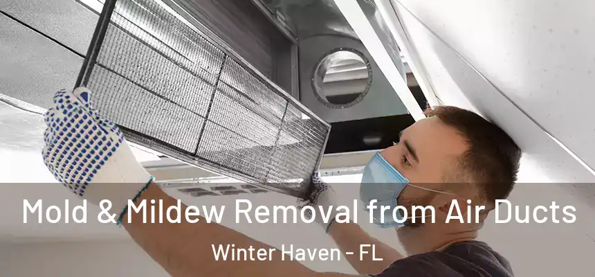 Mold & Mildew Removal from Air Ducts Winter Haven - FL