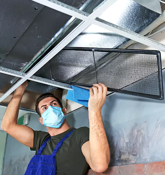 About Air Duct Bacteria Removal in Winter Haven