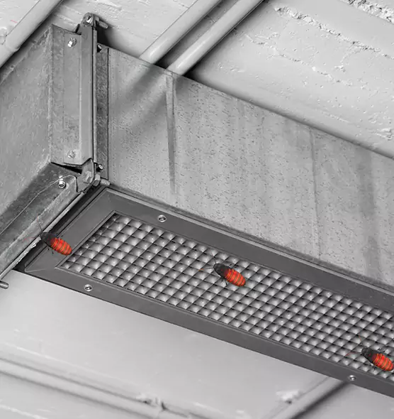 Affordable Insect Removal from Air Ducts in Winter Haven, FL