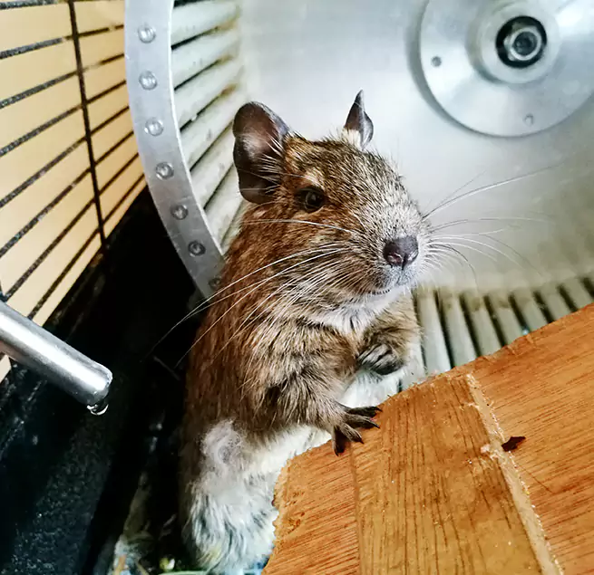 Why Homeowners & Businesses Trust Us Winter Haven, FL