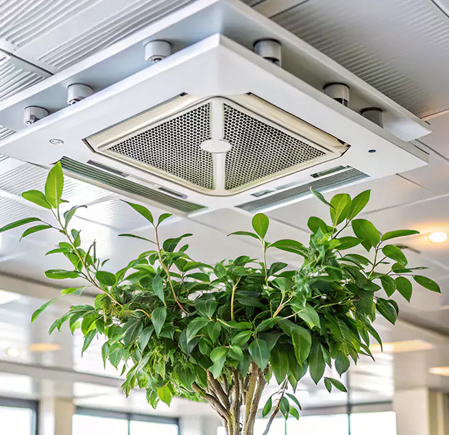 Why Homeowners & Businesses Trust Us in Winter Haven, FL?