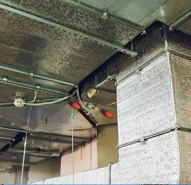 Why Homeowners & Businesses Trust Us Winter Haven, FL?