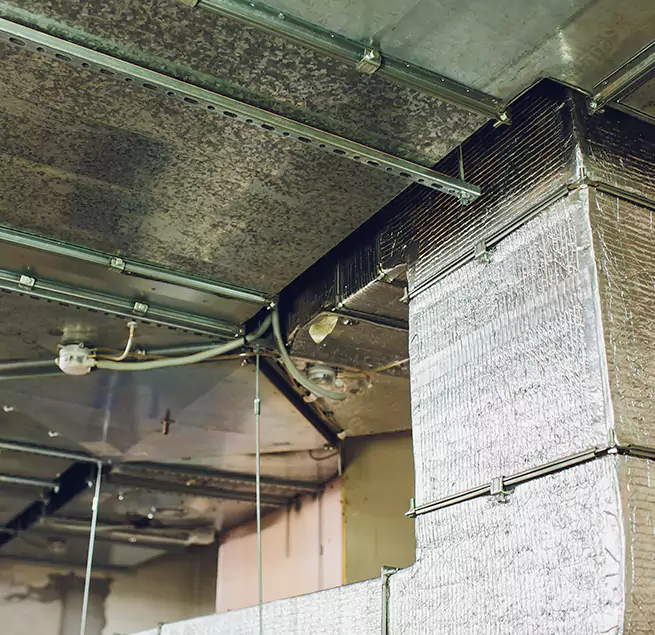 Why Homeowners & Businesses Trust Us in Winter Haven, FL?